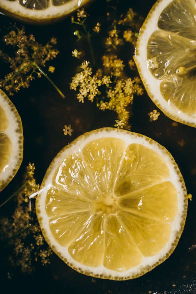 lemon slices and elderflowers float atop a cordial in the making