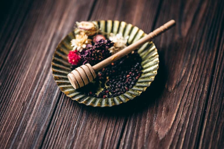 ELDERBERRY SYRUP WITH SCHISANDRA, SIBERIAN GINSENG & GINGER | PREVENTATIVE & RESTORATIVE IMMUNE SUPPORT