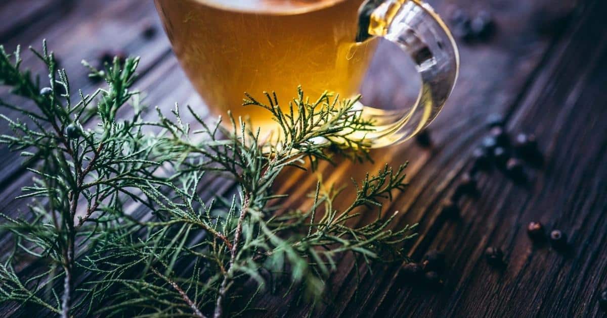 A clear glass mug filled with tea and  lit by light from behind.