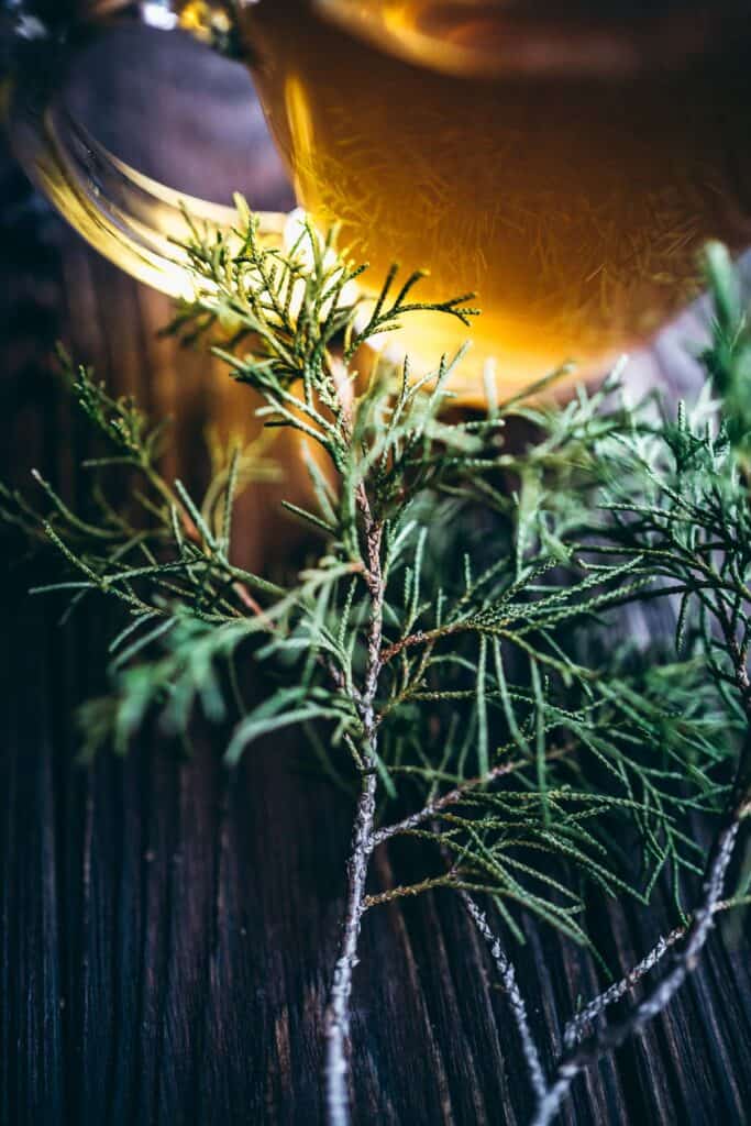 How to Make Juniper Berry Tea • Schisandra & Bergamot