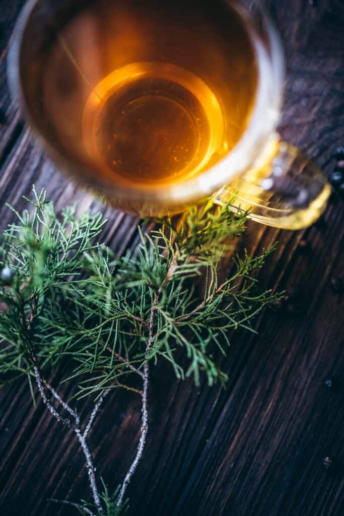 How to Make Juniper Berry Tea • Schisandra & Bergamot
