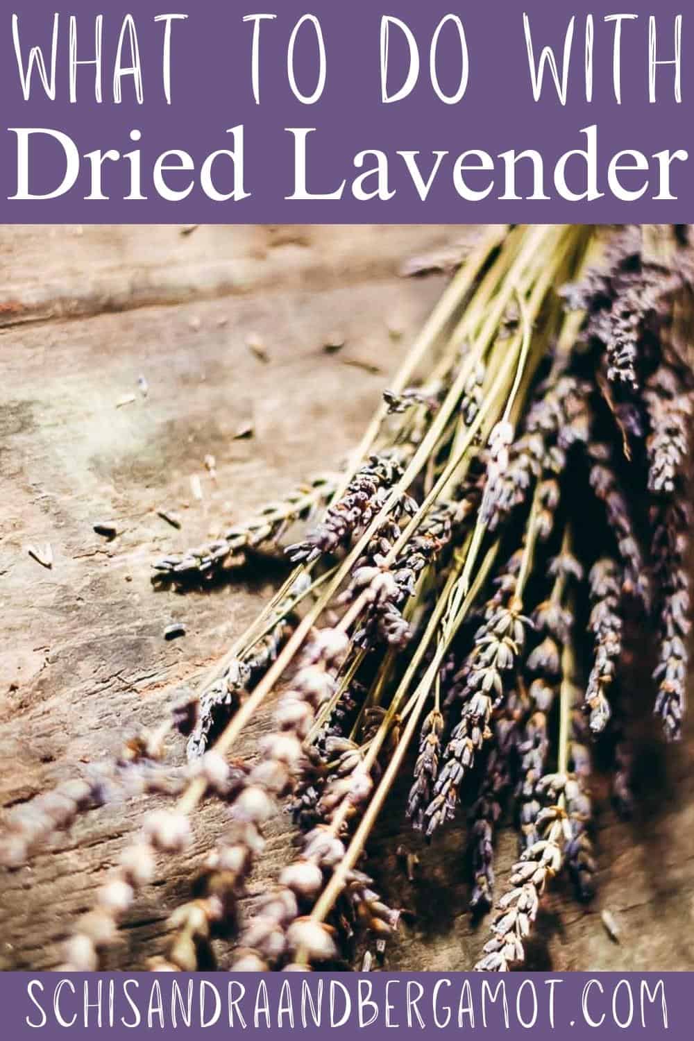 What To Do With Dried Lavender • Schisandra & Bergamot