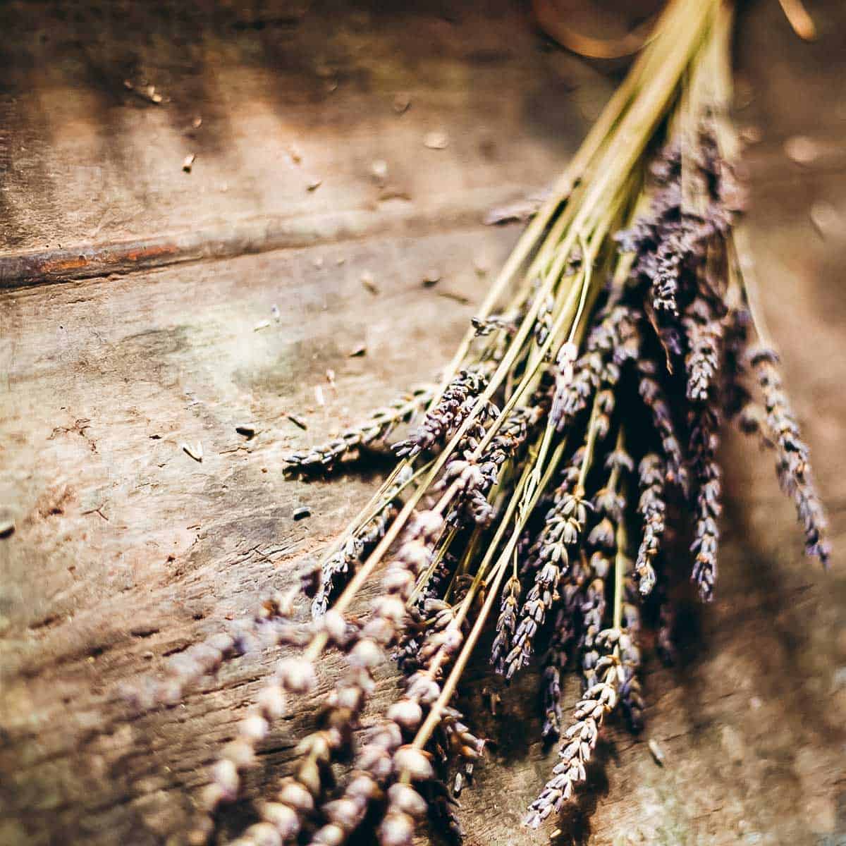 A bundle of dry lavender rests on a wooden surface.