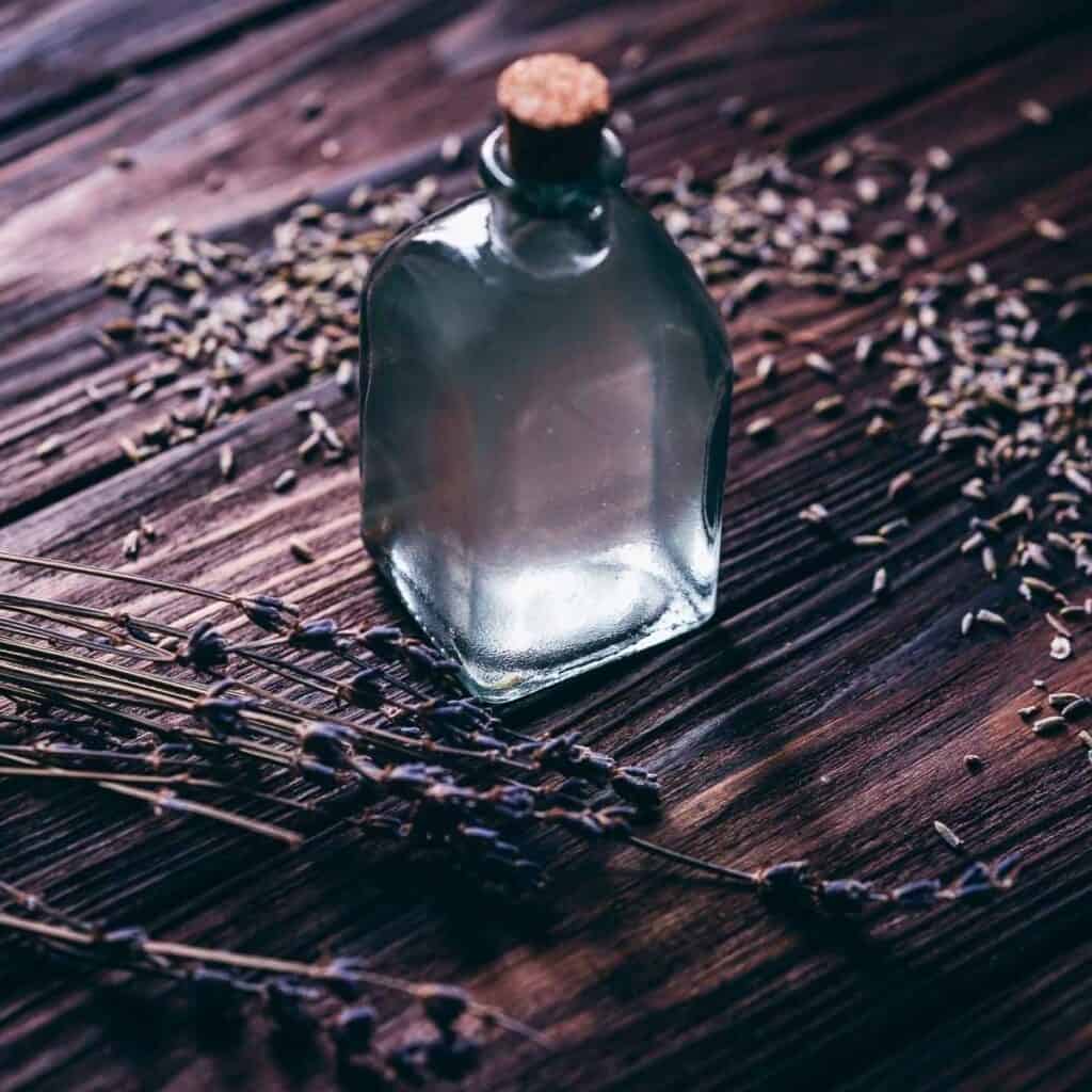 How to Make Lavender Hydrosol (Lavender Water)