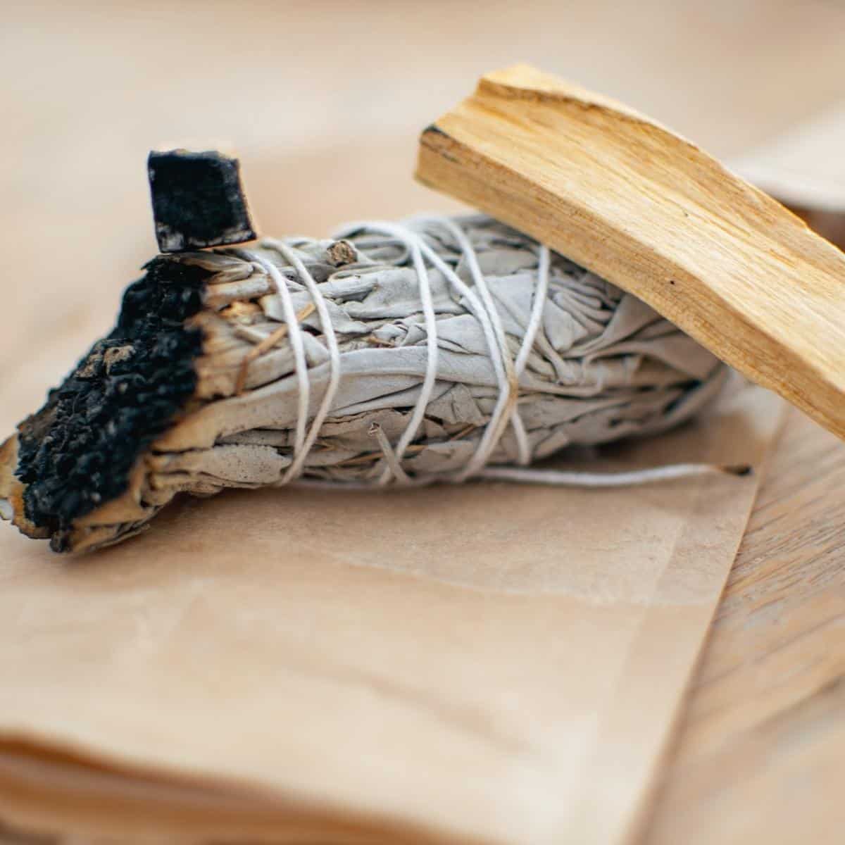 Palo santo rests on top of a white sage smudge stick.