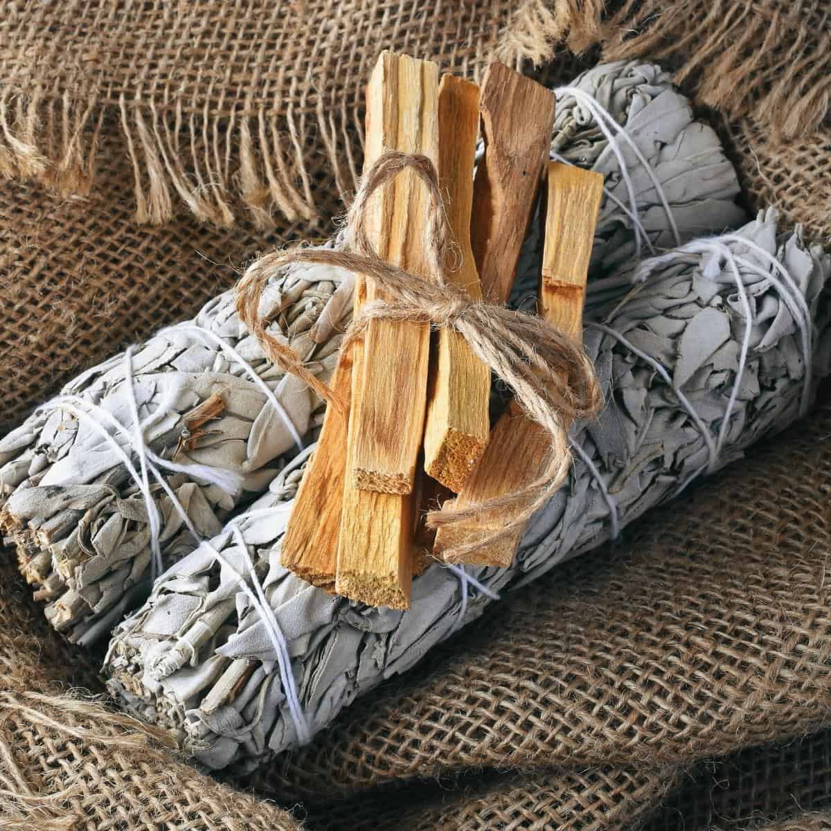 Palo santo sticks rest on top of two white sage bundles tied with string.