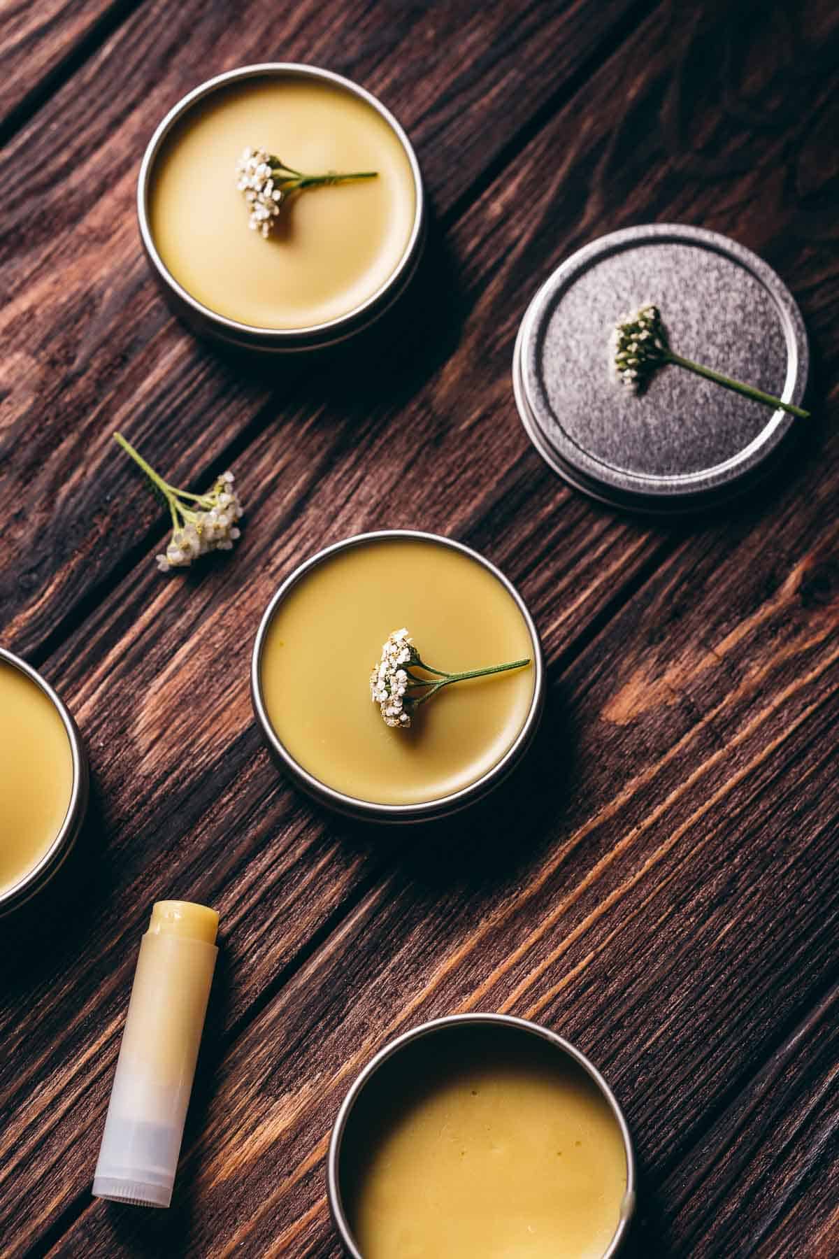 Top view of several salve tins filled with a yarrow salve.