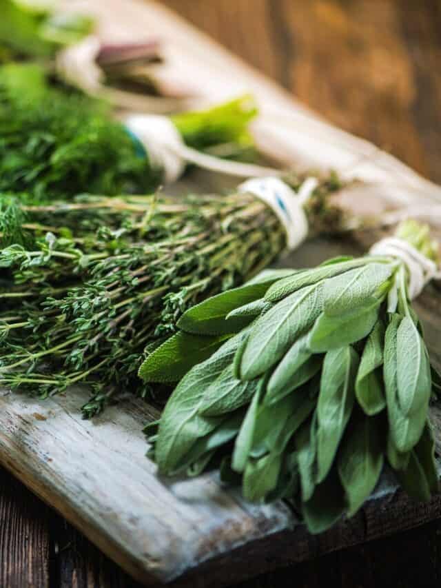 The Best Herbs for the Cold and Flu