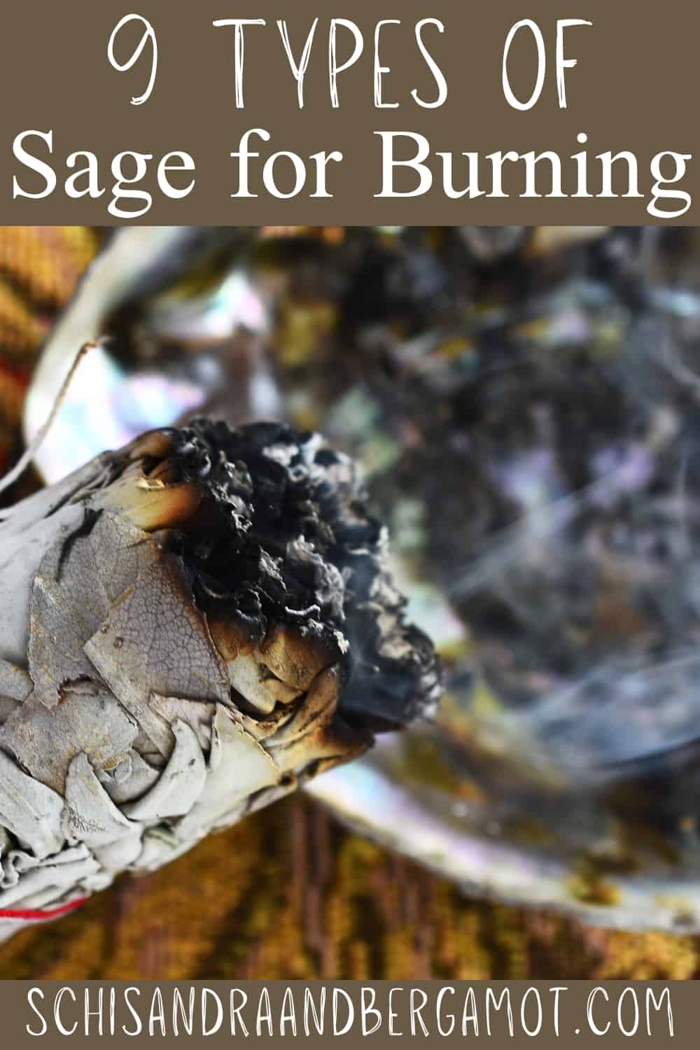 9 Different Types of Sage for Smudging • Schisandra & Bergamot