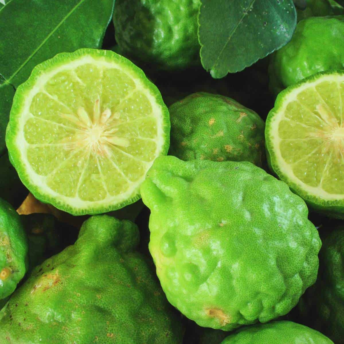Bergamot Fruit
