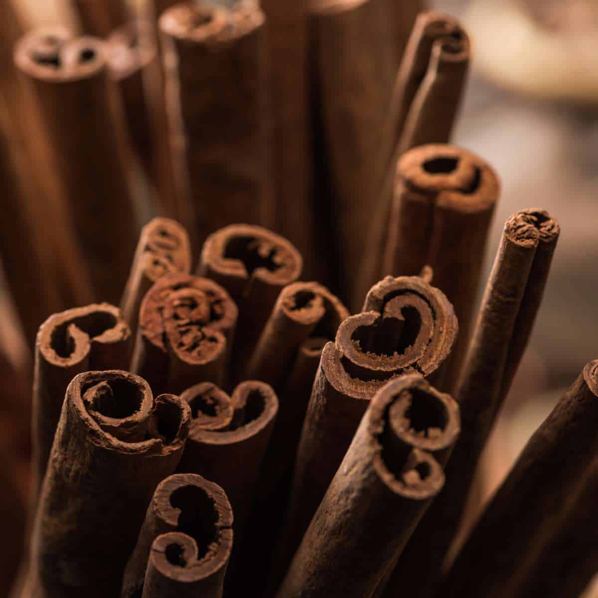 A close up of cinnamon sticks, known for their association with prosperity, on a table.