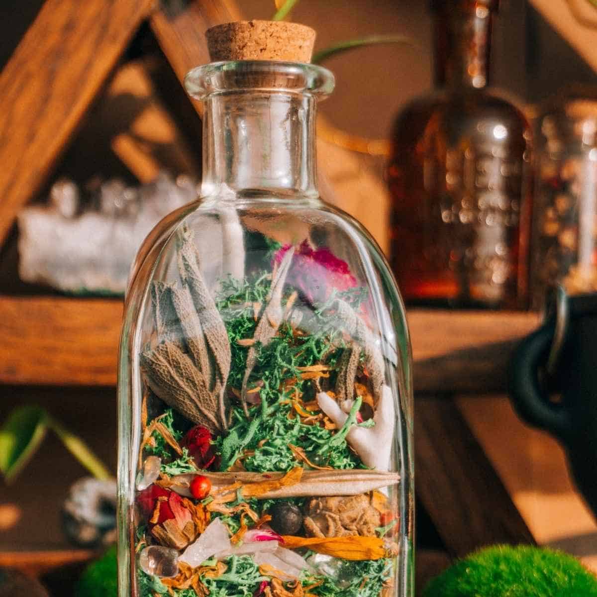 A glass bottle with a cork lid filled with herbs for prosperity, dried flowers, and other natural materials sits on a wooden shelf with other glass containers and green moss nearby.