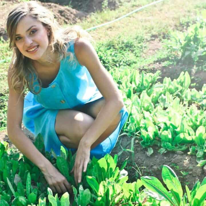 A woman in a blue dress crouches in a garden, surrounded by green leafy plants, under a sunny sky.