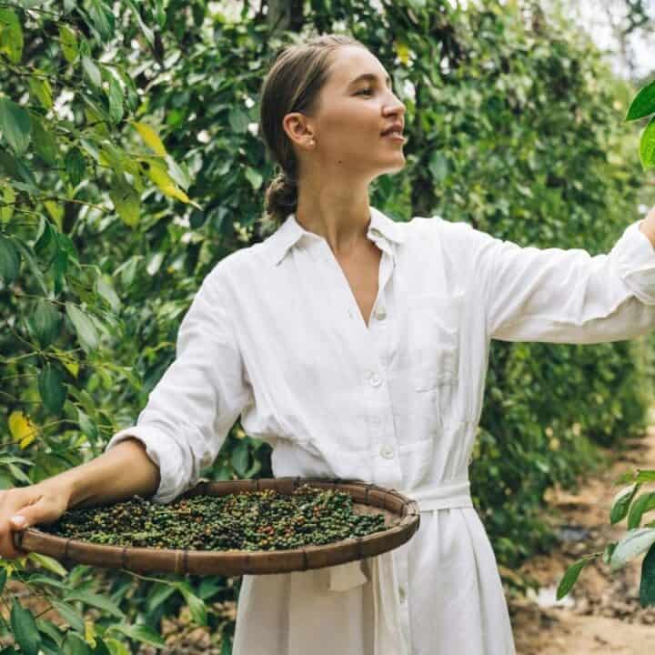 Person in a white dress holding a basket of harvested berries, standing amidst tall green plants in an agricultural setting.