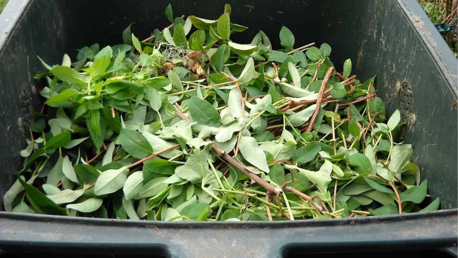 A wheelbarrow filled with assorted green leaves and twigs, likely garden waste, with a green background.