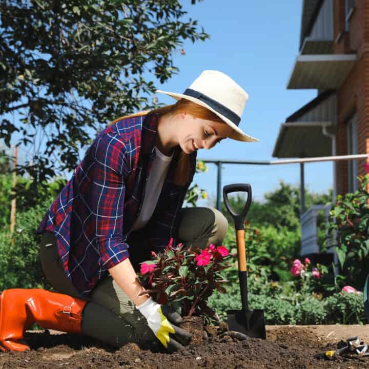 A woman wearing a straw hat and plaid shirt is planting flowers in a garden. A shovel and watering can are nearby.