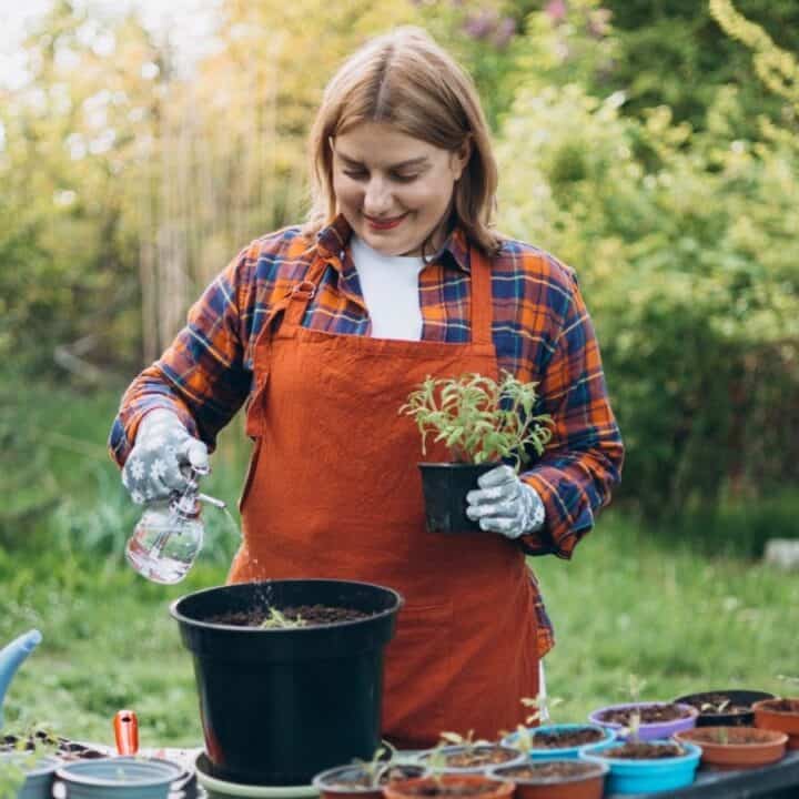 A person in an orange apron waters a plant while holding a small potted plant, surrounded by other pots and gardening tools outdoors.