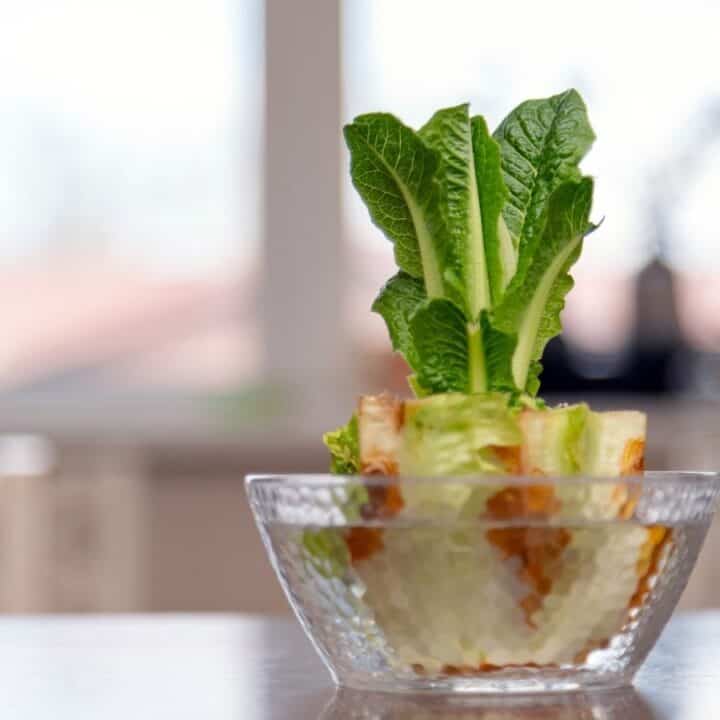 Lettuce leaves growing from a base in a clear glass bowl on a table, with a blurred background of a window and interior.