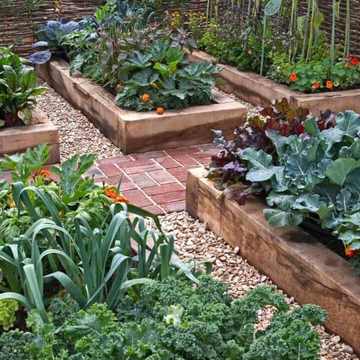 Raised garden beds with various leafy vegetables and herbs, surrounded by brick pathways and pebble borders.