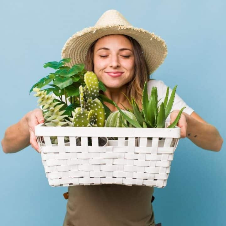 Woman wearing a straw hat holds a white basket filled with assorted potted plants against a plain blue background.
