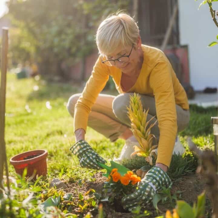 A woman wearing glasses and gloves is kneeling in a garden, planting or tending to flowers on a sunny day.