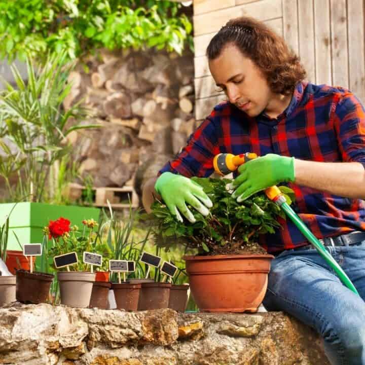 A person wearing green gloves waters potted plants with a hose in a garden area near a wooden shed.