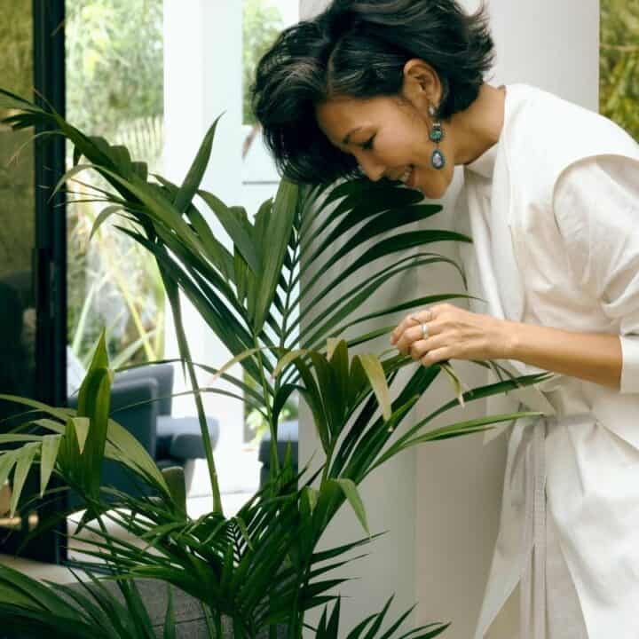 A person in a white outfit leans over to inspect a potted plant in a bright room with large windows.