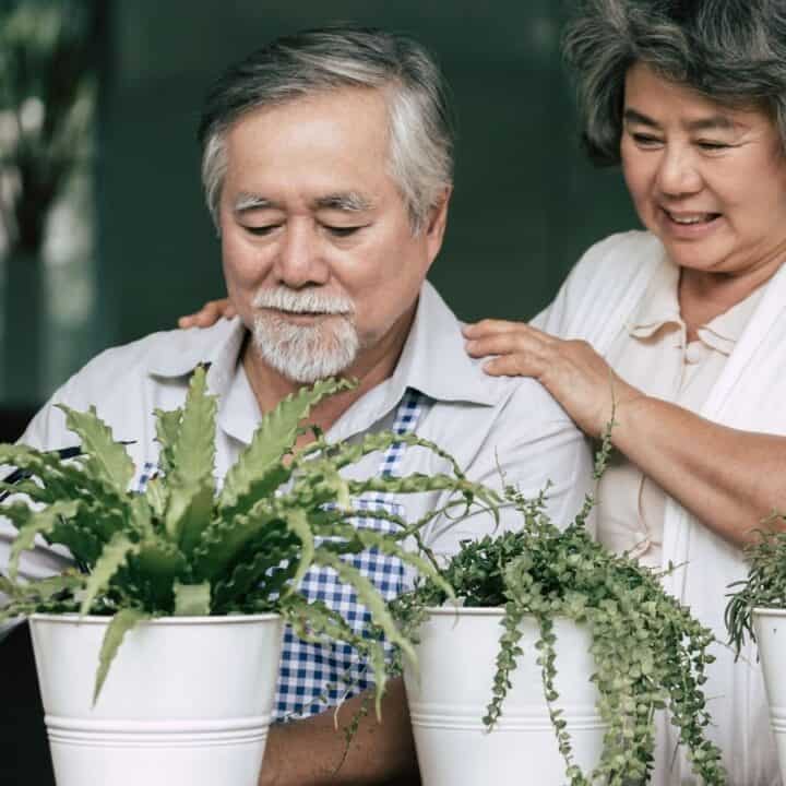 An older man sprays water on potted plants while an older woman stands beside him with her hand on his shoulder.