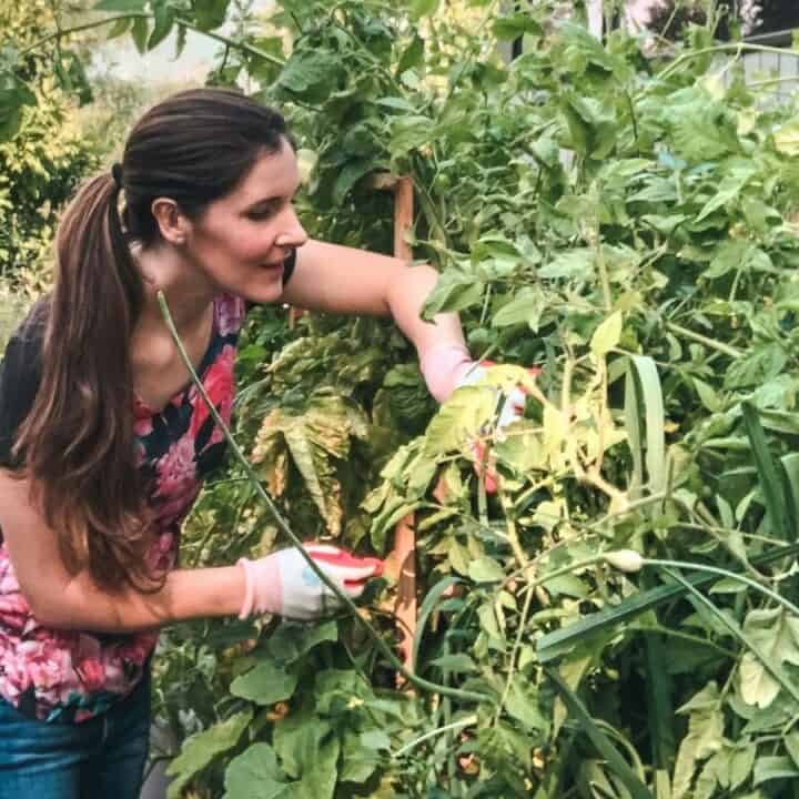 Woman in a garden wearing gloves, tending to lush green plants.