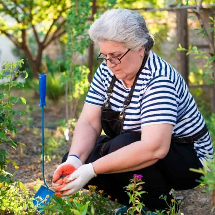 Person gardening, wearing a striped shirt and apron, crouching to tend to plants with a small blue shovel nearby. Lush greenery surrounds them in a garden setting.