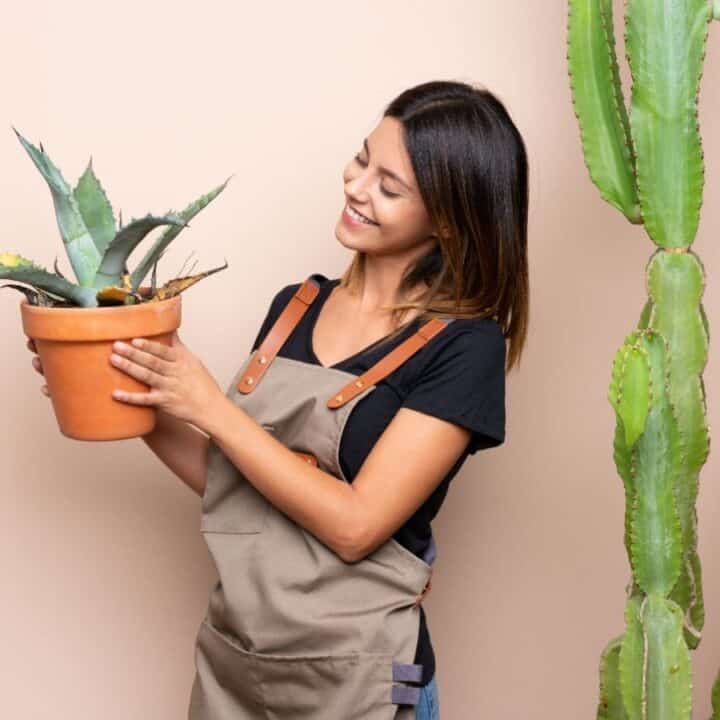 A woman in an apron holds a potted agave plant, standing next to a tall cactus against a beige background.