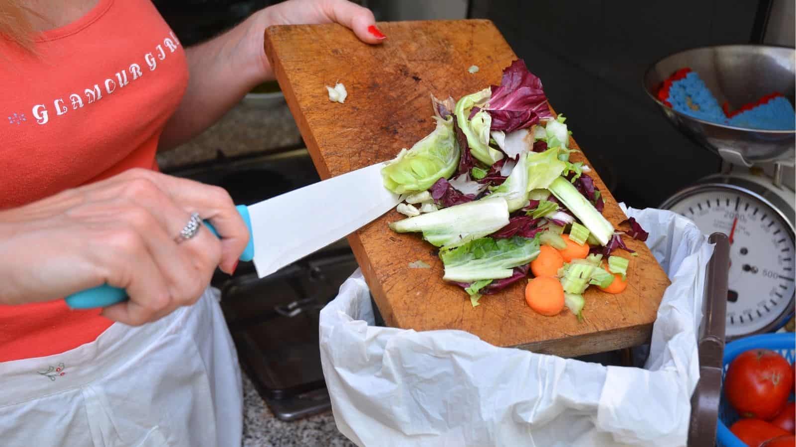 12 Clever Ways to Use Kitchen Scraps in Your Garden • Schisandra & Bergamot