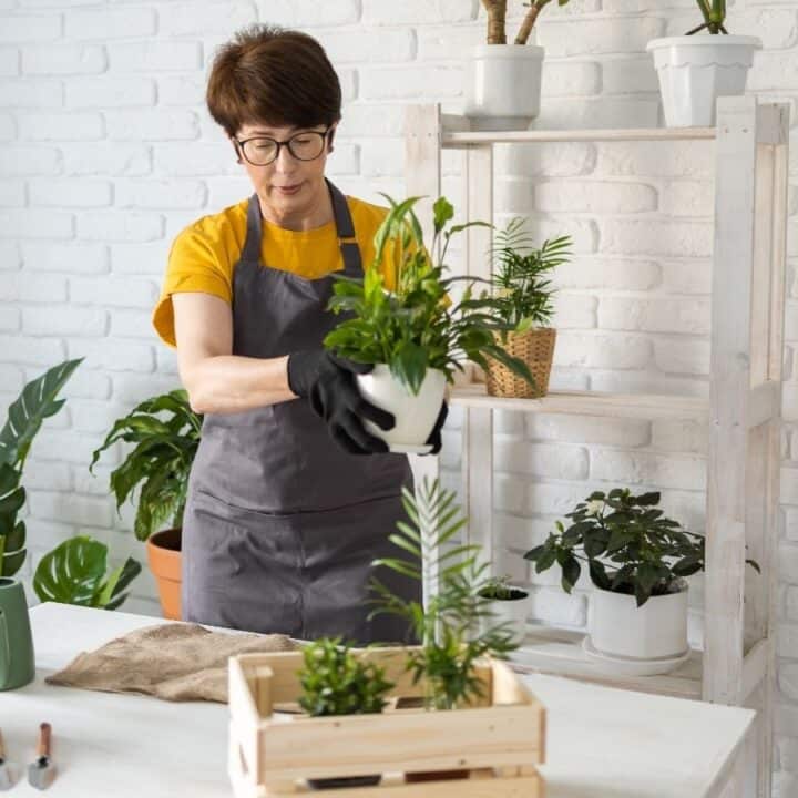 A woman wearing an apron and gloves repots a plant at a table with gardening tools, pots, and several potted plants in a bright room.