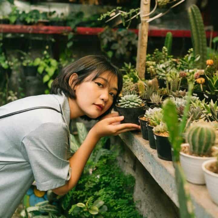 A person leans over a table filled with various potted succulents and cacti, with greenery in the background.