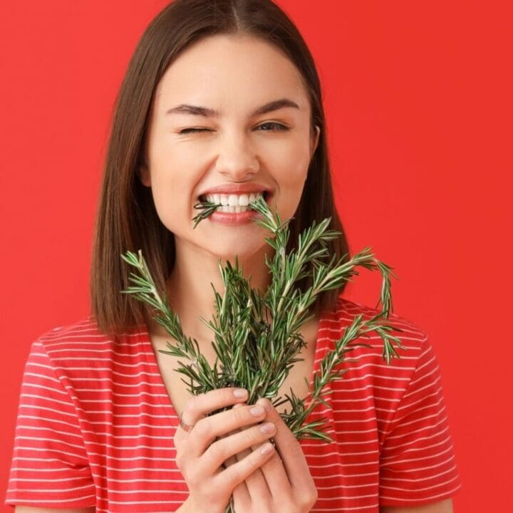 Woman in a red striped shirt holds rosemary sprigs, playfully biting them, against a red background.