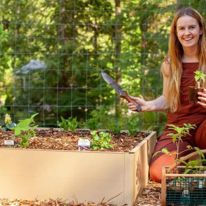 A woman kneels by a raised garden bed, holding a trowel and a potted plant, with gardening tools and more plants beside her in a fenced outdoor area.