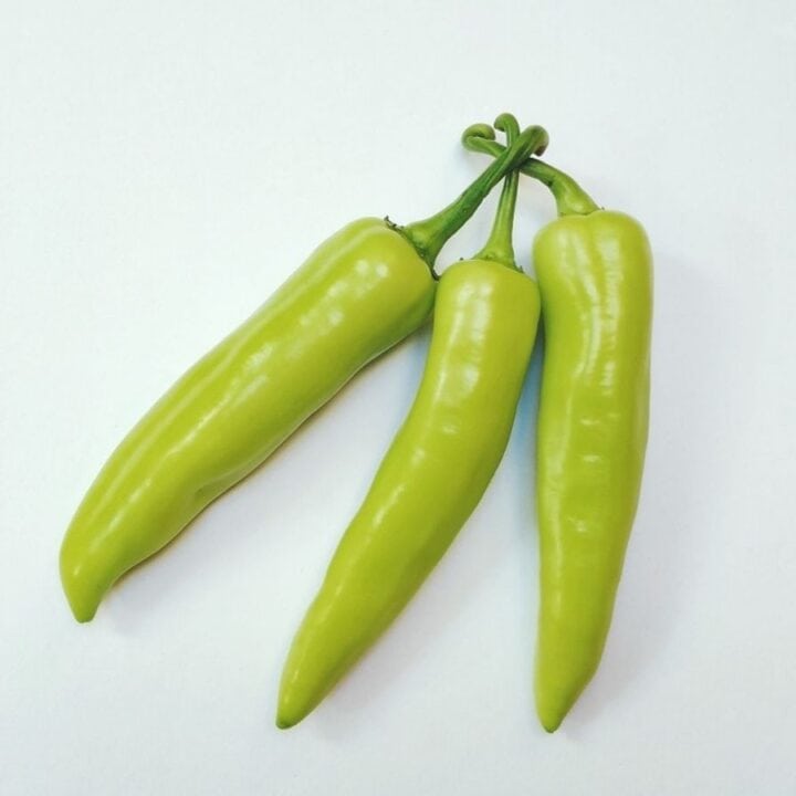 Three green chili peppers with stems on a white background.