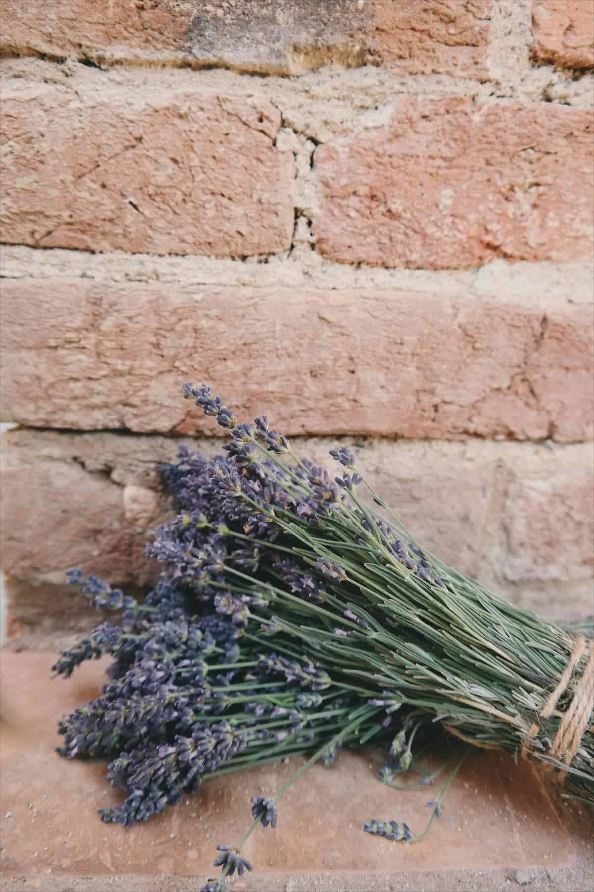 A bundle of dried lavender tied with twine rests against a rustic brick wall.