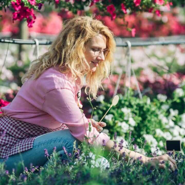 A woman in a pink shirt and glasses kneels in a garden, tending to flowering plants with a small trowel on a sunny day.