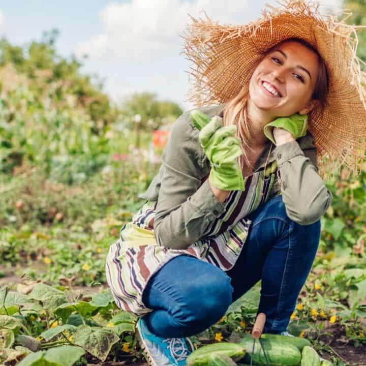 A woman wearing a straw hat, gloves, and casual clothes is kneeling and smiling in a vegetable garden on a sunny day.
