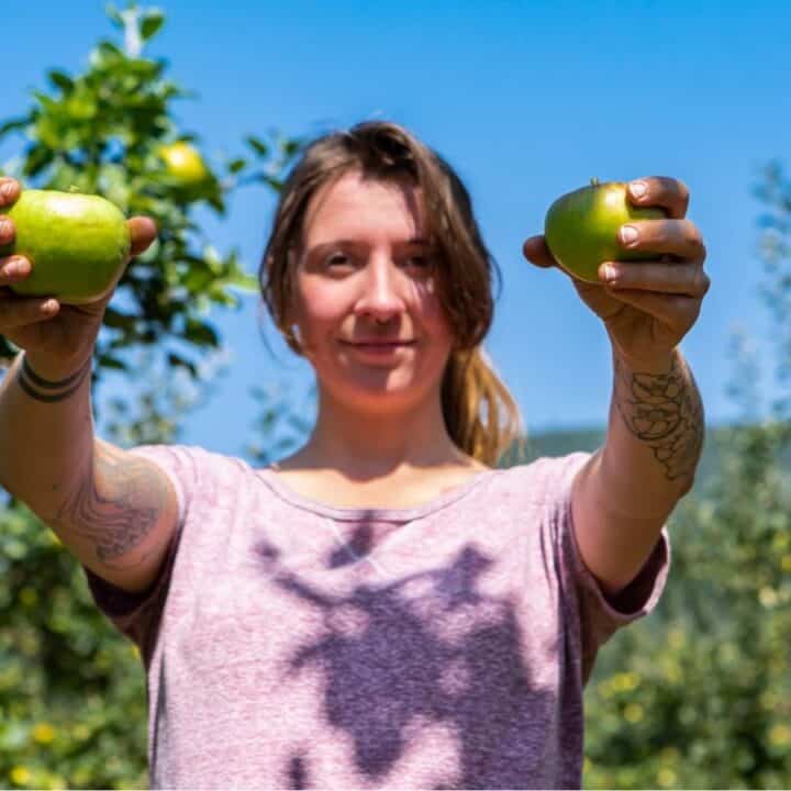 A woman standing in an orchard holds two green apples toward the camera, with fruit trees and a clear blue sky in the background.