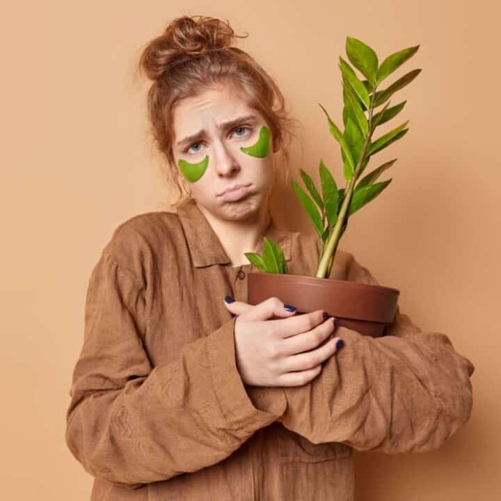 A woman with green under-eye patches holds a potted plant and looks sad, standing against a plain beige background.