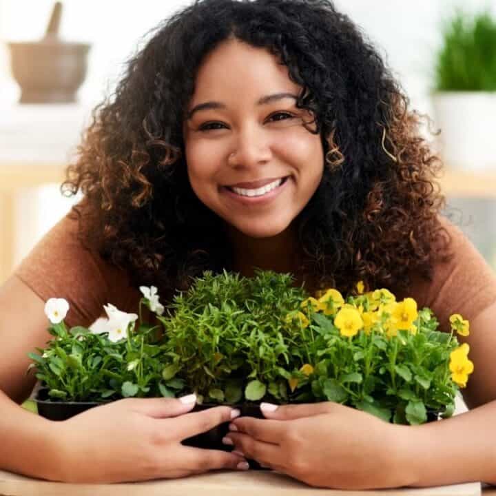 A person smiling while holding a tray of small flowering plants on a table indoors, with shelves and plants in the background.