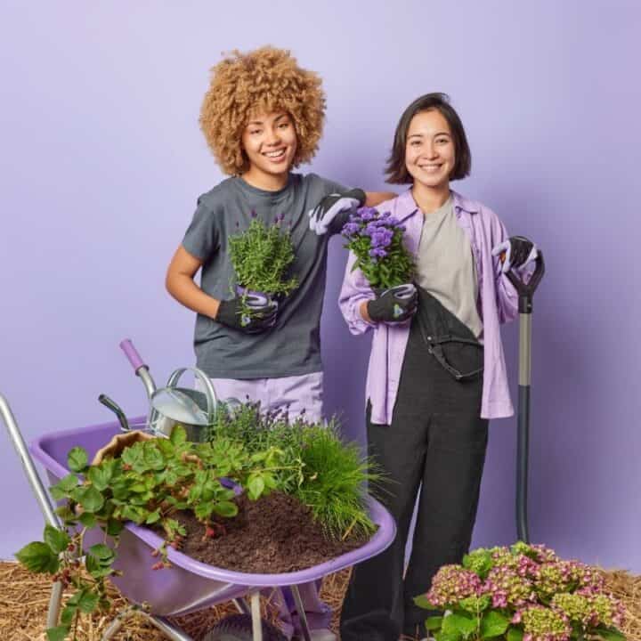 Two women stand in front of a purple wall with a wheelbarrow full of plants and gardening tools, both holding potted herbs and wearing gardening gloves.