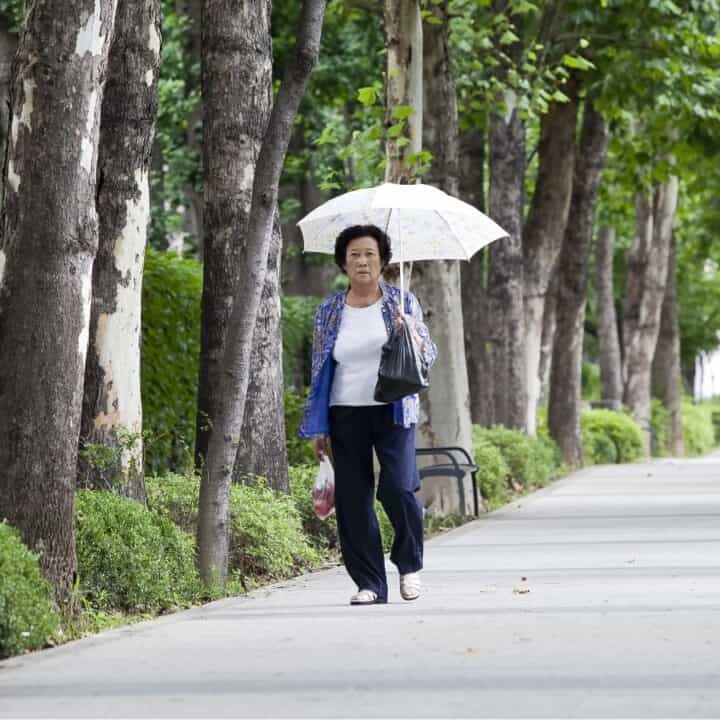 An older woman walks along a tree-lined path holding a white umbrella on a bright, clear day.