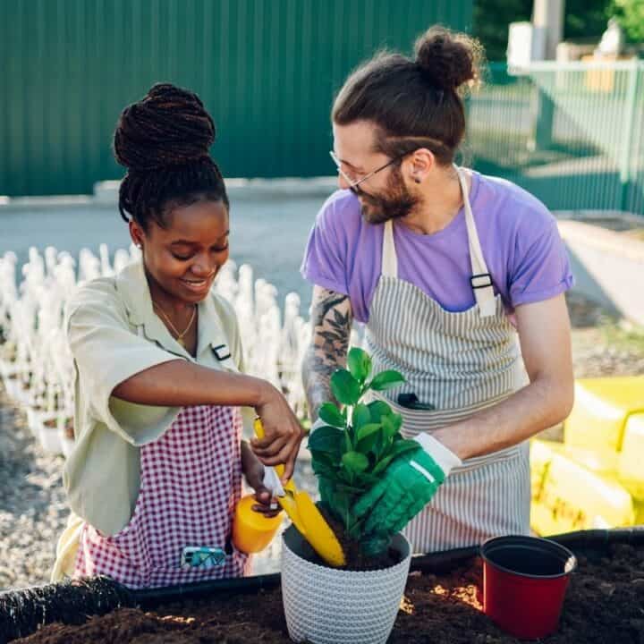 Two people wearing aprons are planting a green plant in a white pot together at an outdoor garden center, surrounded by potted plants and gardening tools.