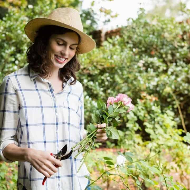 A woman in a straw hat and plaid shirt holds pink roses and garden shears while standing in a garden.
