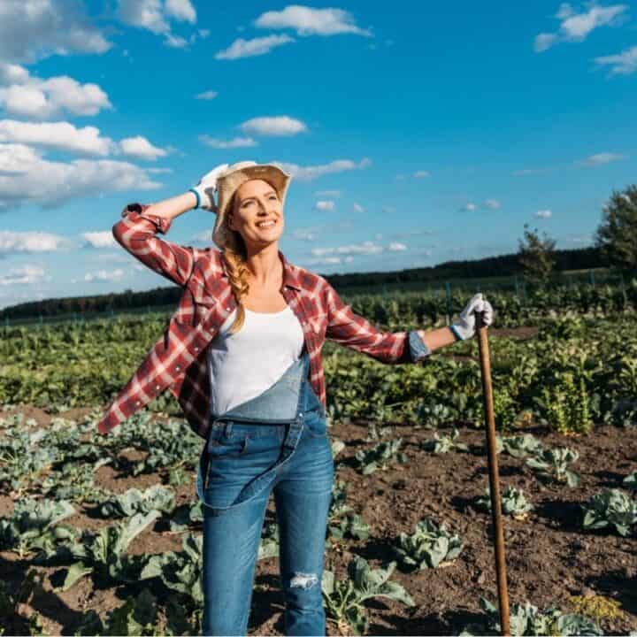 A woman in a plaid shirt and jeans stands in a vegetable garden holding a hoe, with blue sky and scattered clouds in the background.