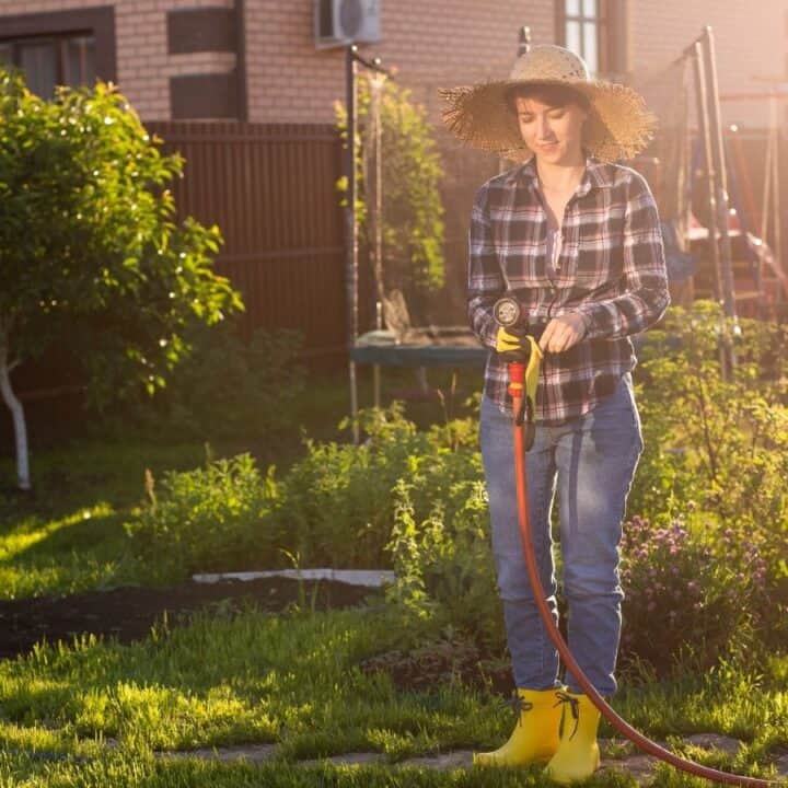 A person wearing a straw hat, plaid shirt, jeans, and yellow boots is watering plants in a sunlit garden near a house.