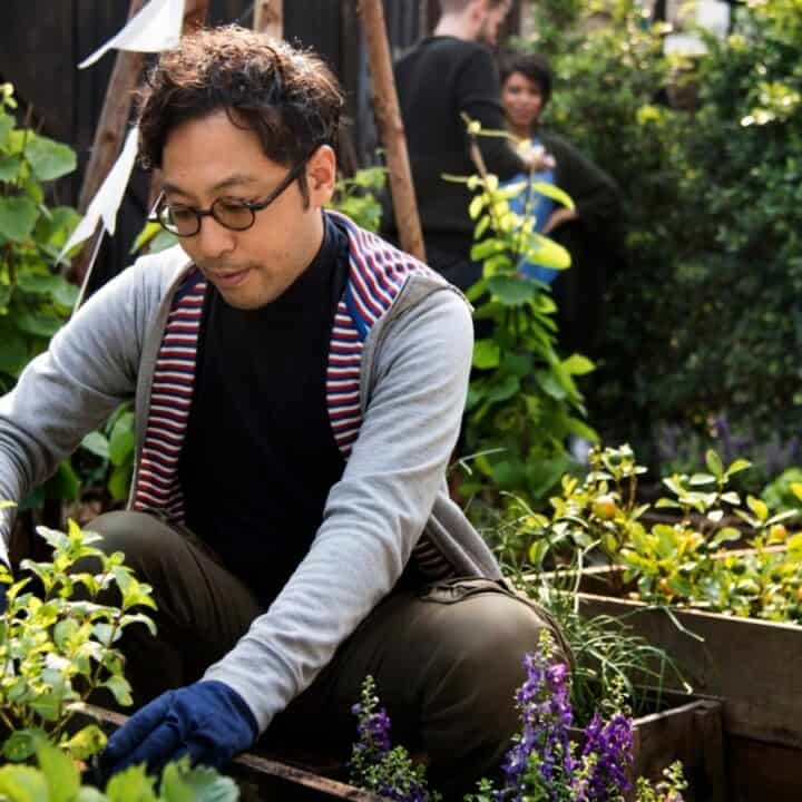 A person wearing glasses tends to plants in a garden with raised wooden beds, while others work in the background among greenery.